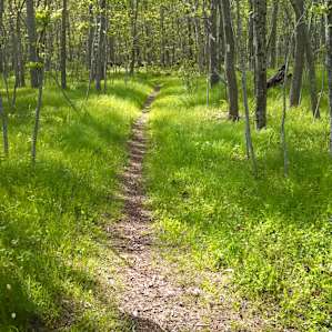 Hiking Hither Hills