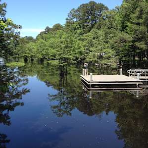 A lot of people were launching kayaks from this dock, which you can rent in the park