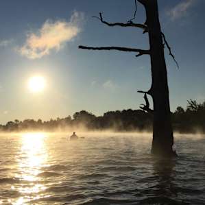 My friends and I hang out around the "naked tree" in the mornings to get the best photo ops.