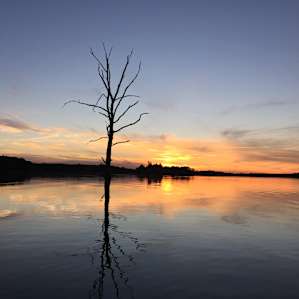 The "naked tree" and the last sunset of summer on Summit Lake. I was difficult to say goodbye to summer but a float on the lake helped.