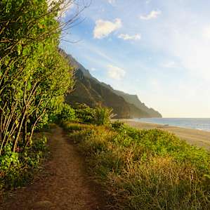 The path to my campsite.
