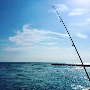Sebastian Inlet is known for its fishing.