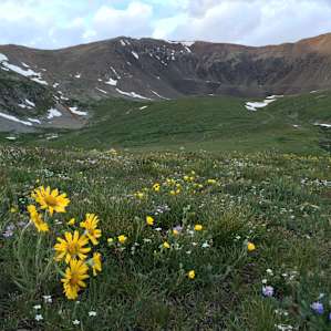 Kite Lake in late July.