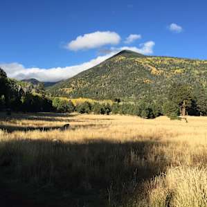 The view towards Humphrey's Peak, across Lockett Meadow!
