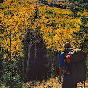 Within one mile of the Inner Basin trail, views like this are everywhere. Even if you don't camp at Locket Meadow, head up for a fall foliage day-hike.