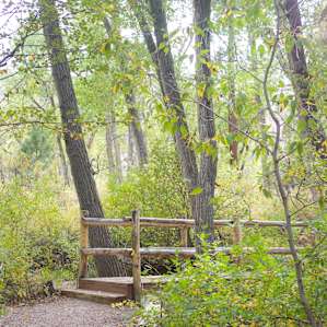 Late September color near creek in center of campground
