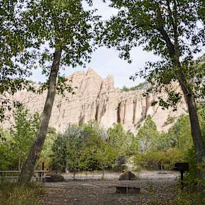 Nice big sites