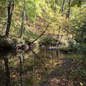 Pine Glen Recreation Area