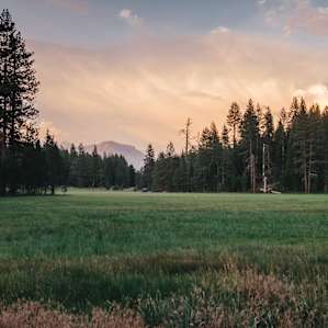 View at sunset from the Indian Basin Grove Interpretive Trail that runs to the side of the campground