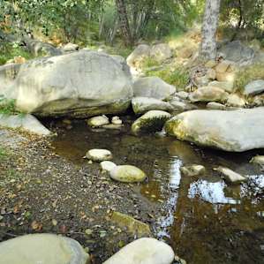Wheeler Gorge Campground