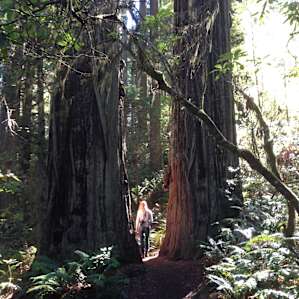 walking along the spectacular James Irving trail to Fern Canyon from camp.