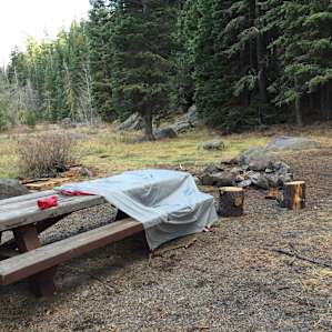 campsites have picnic tables and fire pits! there's typically room for at least one car and multiple tents.
