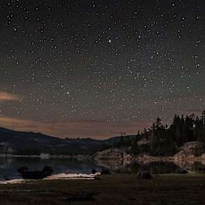 stars