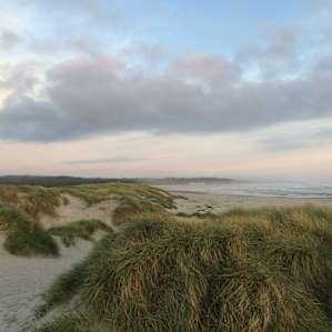 South Beach Campground