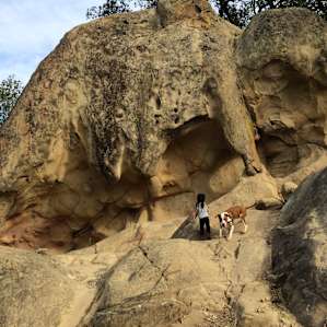 Climbing on Elephant Rock. This closer to the Live Oak campsites and not the Juniper campsites.