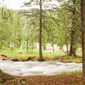 Creek running through the campground