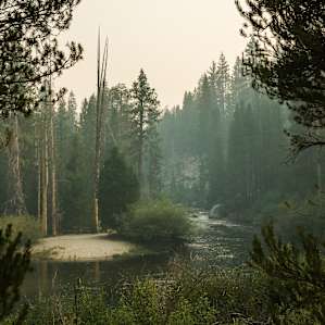 View of the creek, a very short walk from most campsites.