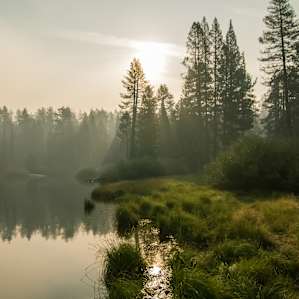 Part of the creek near the campsite is very calm & placid in the morning, like a lake.