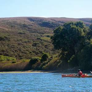Tomales Bay Campground