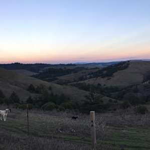 Driving back onto the ranch, beautiful sunset.