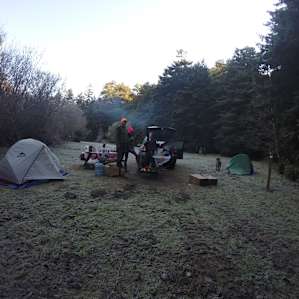 Redwood Camp