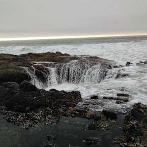Cape Perpetua Campground