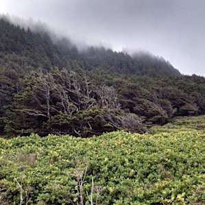 Cape Perpetua Campground