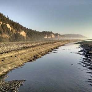 Gold Bluffs Beach Campground