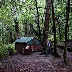 Cabin #16, awesome to hear the creek on the other side of the trees but very very muddy. I think it was the combination of low ground and water access close by.