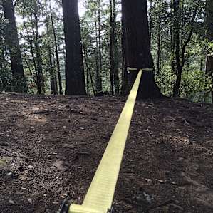 Pantoll Campground