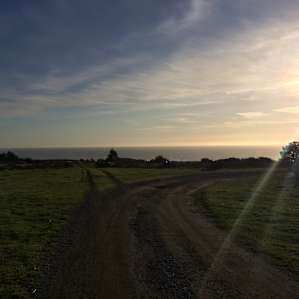 Driving in at golden hour