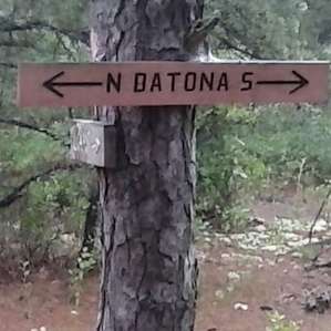 This is how you know you made it back to the Batona Trail.