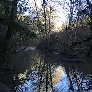 View of Salmon Creek from site #2