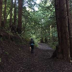 Walking one of the many beautiful trails