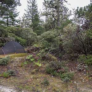 The only noise from this tent site is the ocean and barking seals.