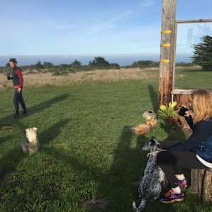 Morning tea with ocean views