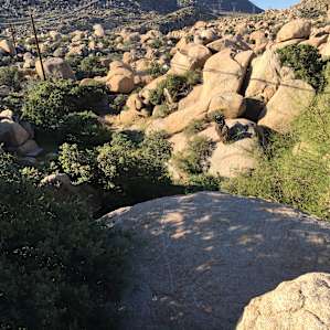 Plenty of spots to camp and find your own space