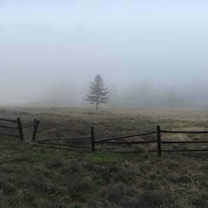 Meadow outside the campground at early morning