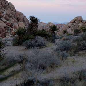 sundown on site #101