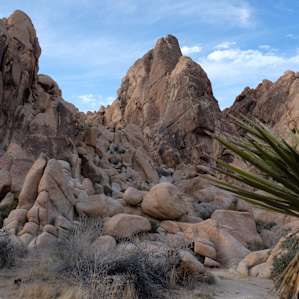 short walking loop directly adjacent to the campground