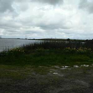 Medeiros Campground