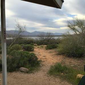 Cholla Campground