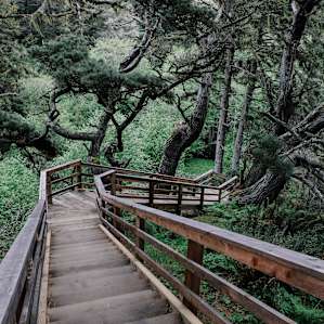 Part of the Jug Handle Ecological Staircase. It actually connects to JHCF.