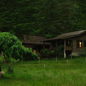 Early morning, looking at the cottage from across the ram orchard.
