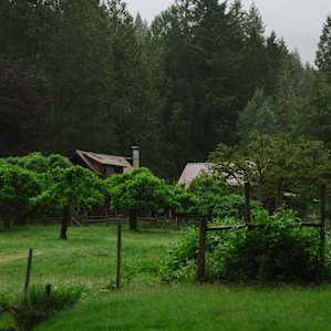 The farm house from down by the creek. Yes, there is a creek!