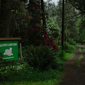 Welcome to the greatest place on earth. :)