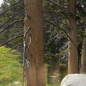 Round Valley Campground