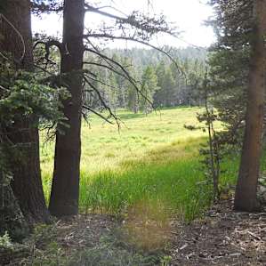 Round Meadow.