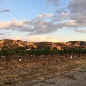 Pianetta Ranch & Winery Camp