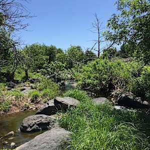 Buffalo Dream Ranch Camping